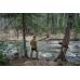 Брюки мужские Shark light Код: 758-004 Цвет: 309 Coyote/124 Black